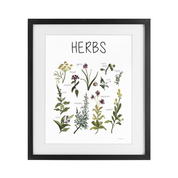 Stupell Industries Traditional Herbs Identification Chart Black Framed Print Under Glass, 13 x 16, by Carol Robinson