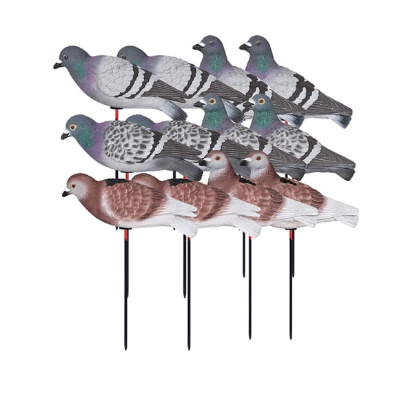 GHG Decoy Systems Full Body Pigeon Decoys, 12 Pack