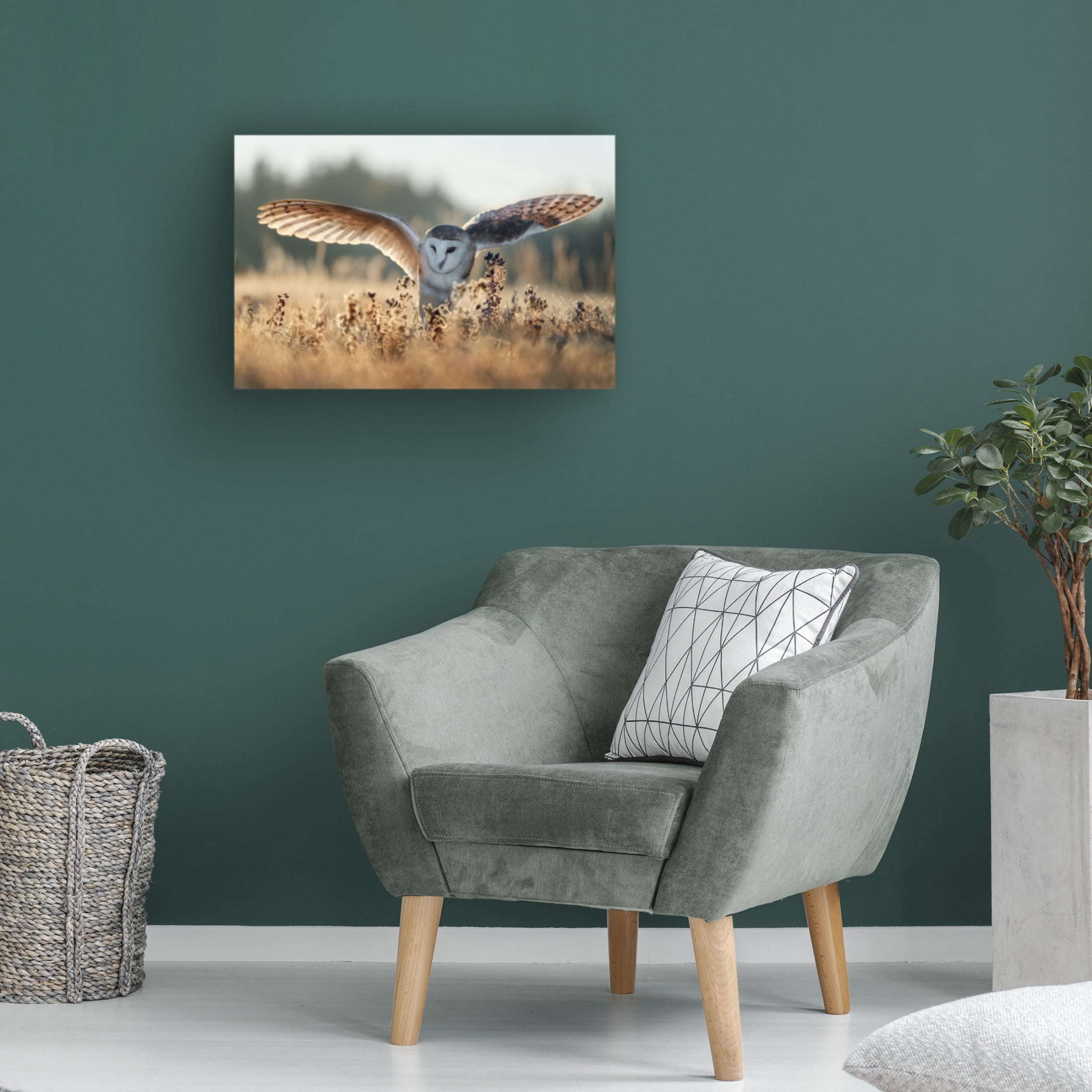 Trademark Fine Art Michaela Firesova Sunrise Canvas Wall Art