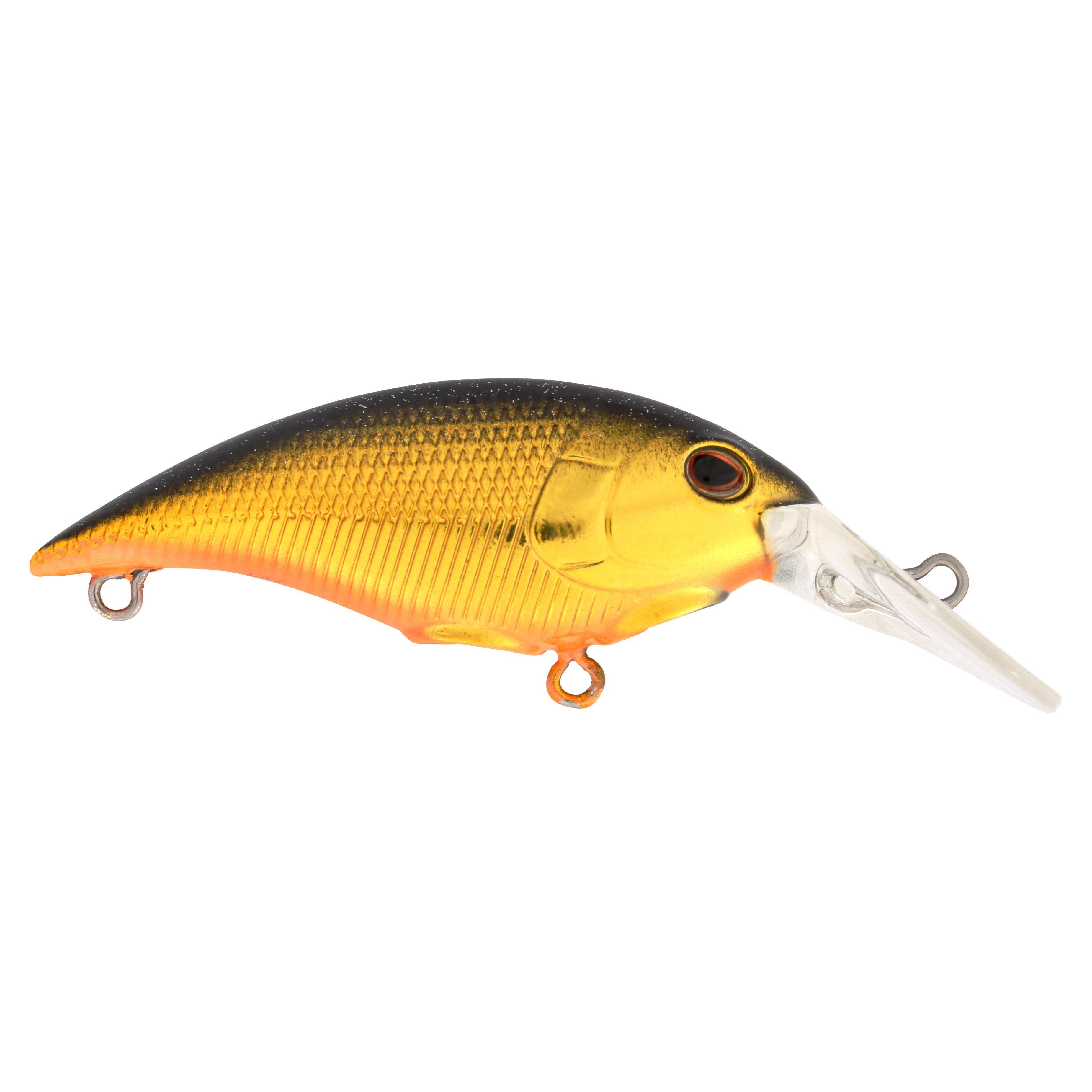 Berkley Money Badger, 4, Black Gold