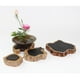 thumbnail image 4 of Porta alfileres florales con forma de rana de flores, base de flores cortadas, redondas, cuadradas y rectangulares. 2 2.6cm acero redondo, 4 of 7