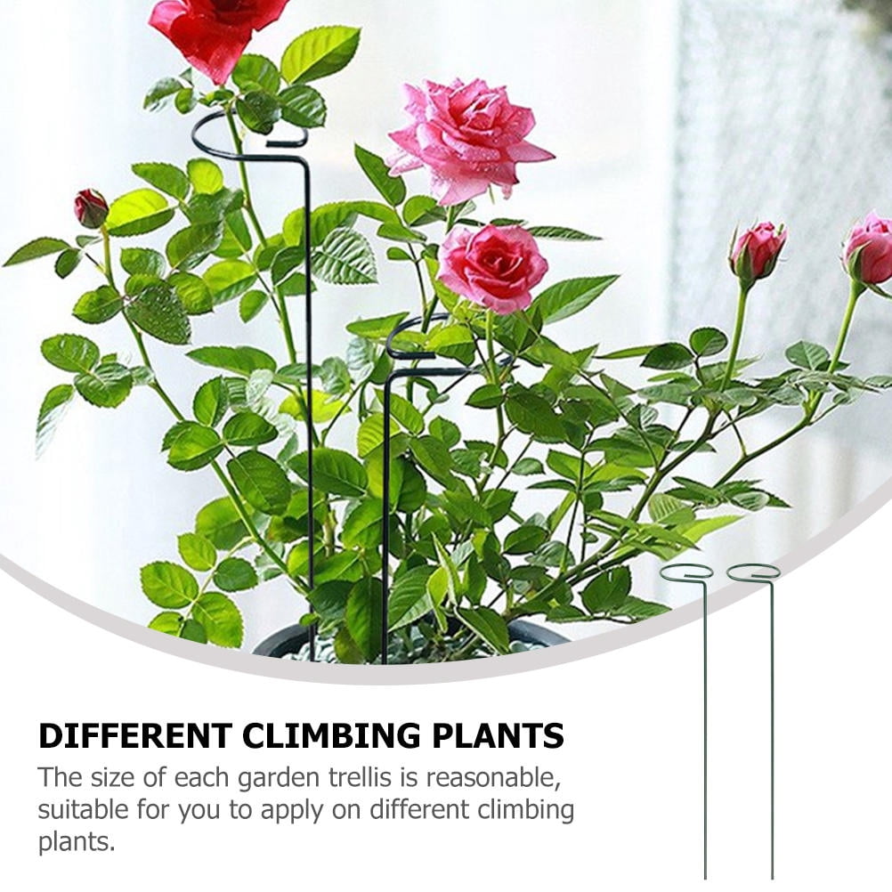 IBASETOY 10pcs Plant Climbing Trellis Support for Vines and Flowers for Outdoor Garden and Patio Use