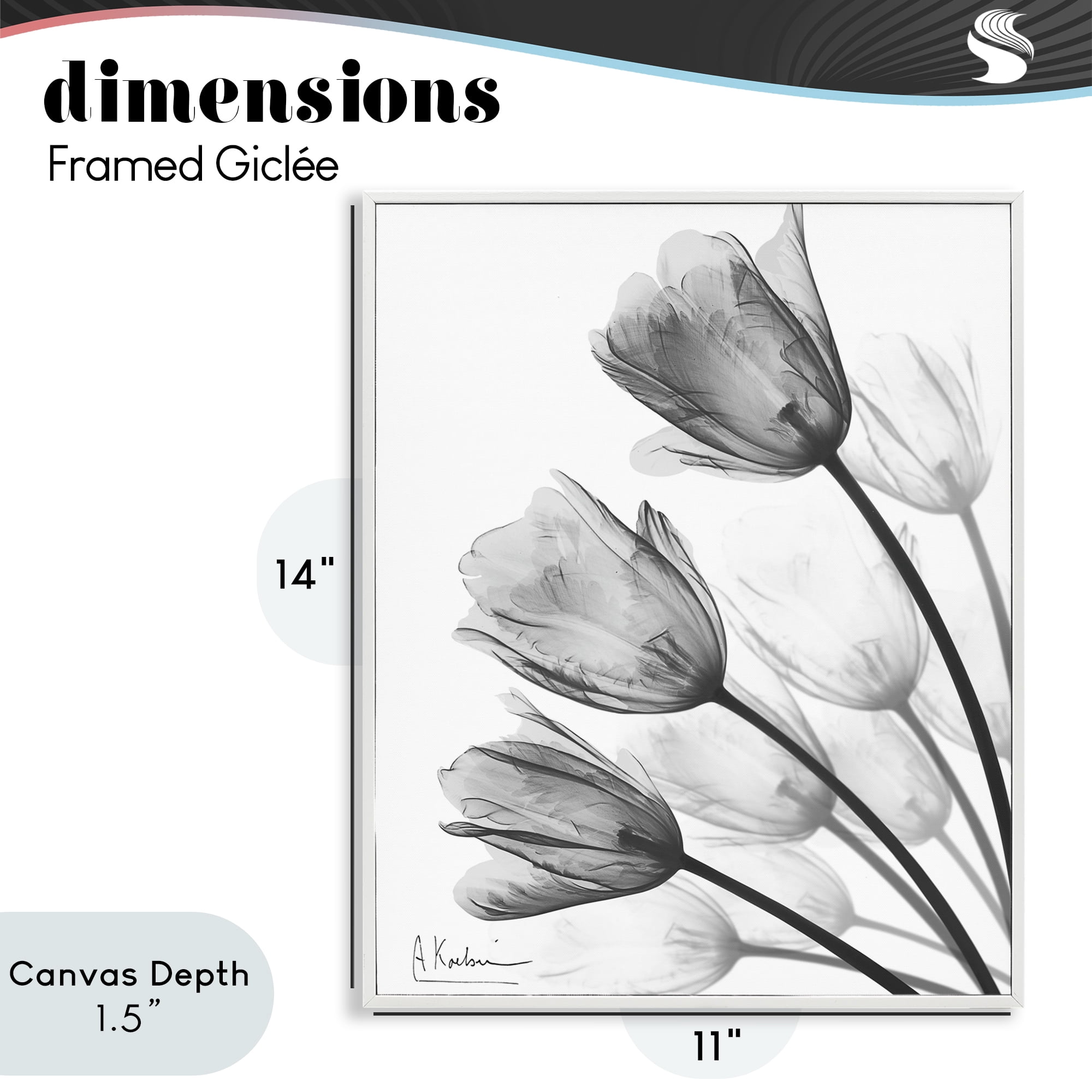 Stupell Industries Minimalist Tulip Fan White Framed Giclee Art, design by Albert Koetsier