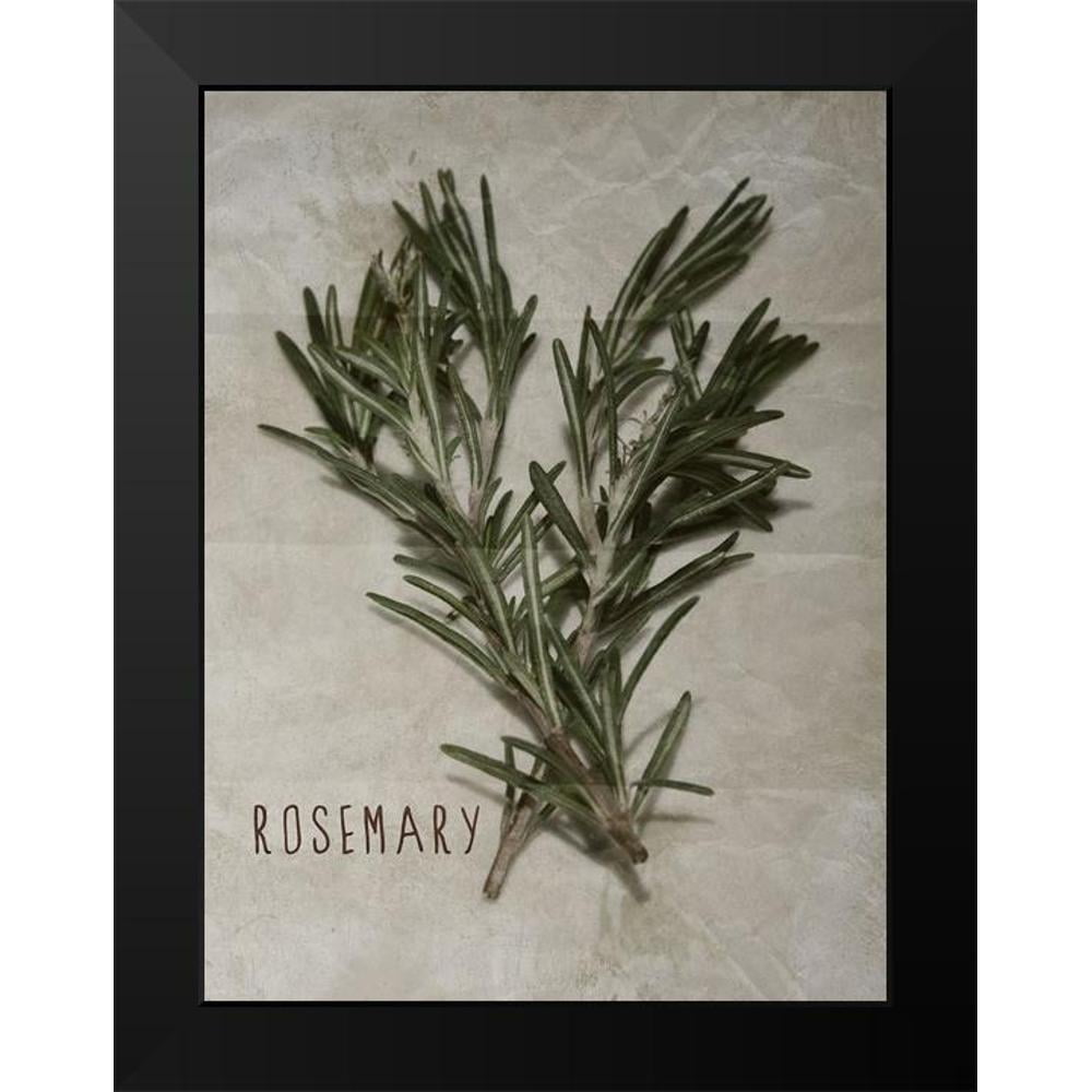 Prime, Marcus 19x24 Black Modern Framed Museum Art Print Titled - Time-Honored Rosemary 2
