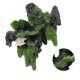 thumbnail image 5 of Adorno De Rocalla Para Acuario, Simulación Resistente A La Corrosión Hermosa Decoración De Rocalla De Musgo Para Pecera ANGGREK Otros, 5 of 8