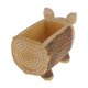 thumbnail image 4 of de Tocón , de Pntas Suculentas, de Jardín, Caja de Bonsáis Macarena Suculenta Pot, 4 of 8