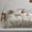 Natural Linen, variant on Simple&Opulence 100% Washed French Linen Duvet Cover Set-104''x92'' King Size-3 Pieces Vintage Ruffled Farmhouse Bedding 1 Comforter Cover 2 Pillowshams High End Floral Frill Flax Sets,Natural Linen