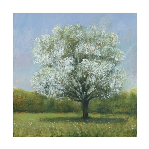 Tim OToole 'Spring Blossom Tree II' Canvas Art