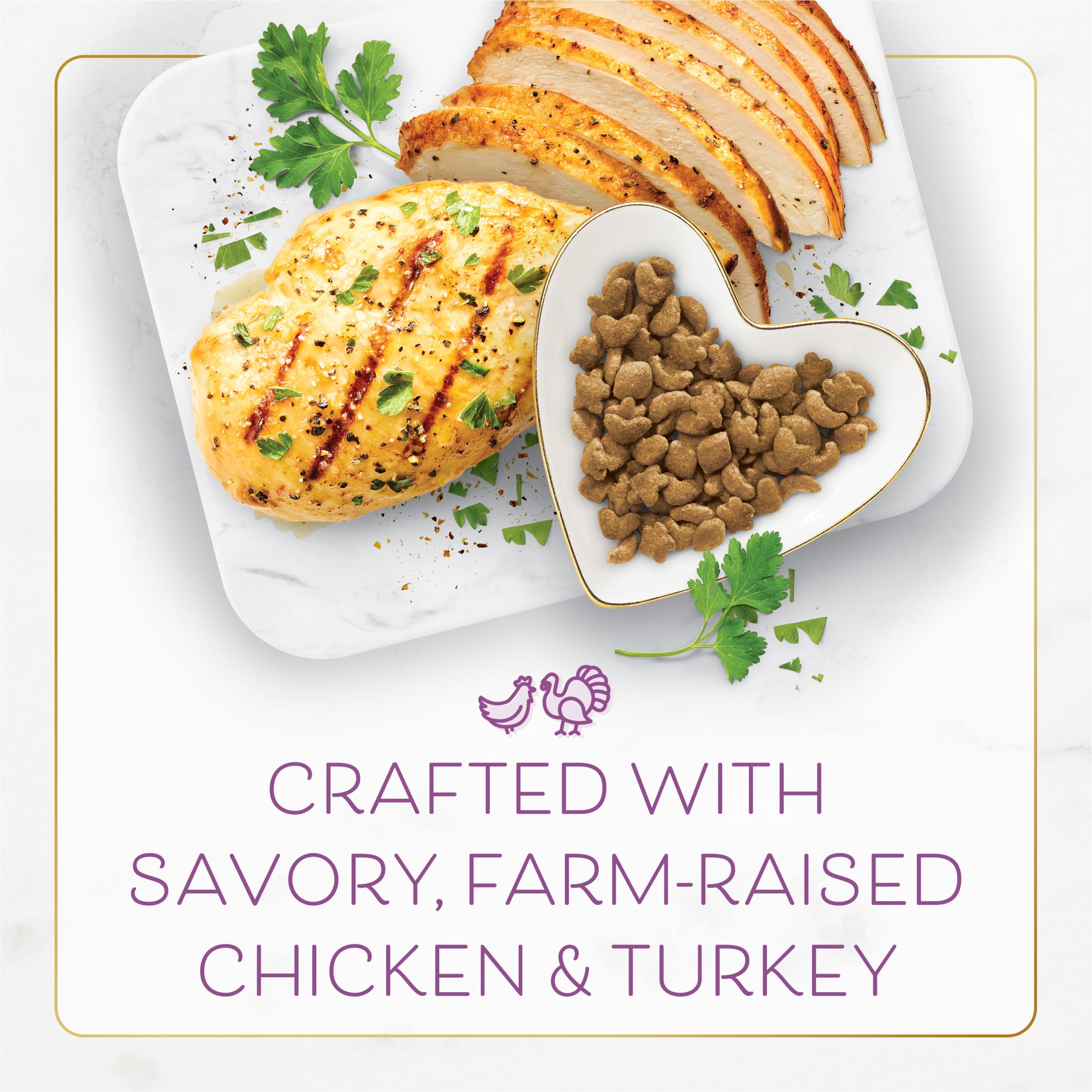 Fancy Feast Indoor Dry Cat Food, Chicken & Turkey, 4 Pack photo 4
