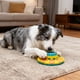thumbnail image 4 of Comedero interactivo tipo rompecabezas, cuenco de comida lenta, estimulación mental para cachorros y perros pequeños, 4 of 6
