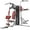 Red, variant on ULTRA FUEGO Multifunctional Home Gym Workout Station, Alloy Steel, with Pulley System, Arm, and Leg Developer for Full Body Training