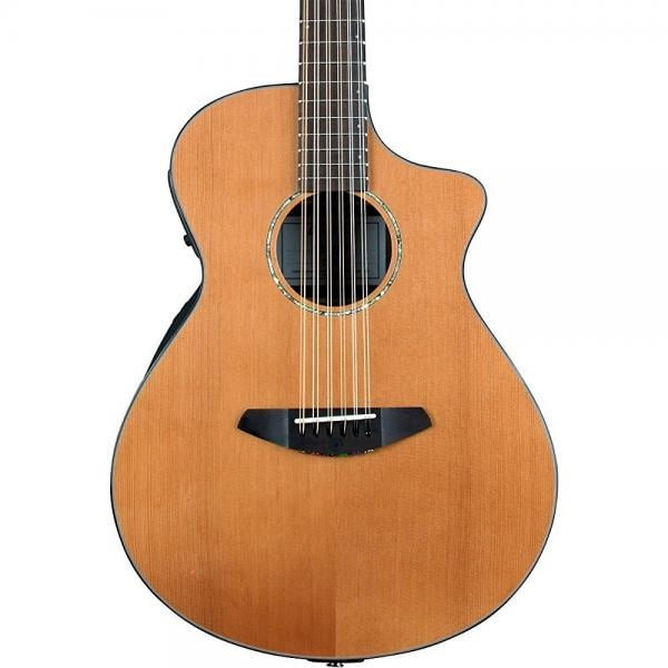 breedlove 12 string guitar