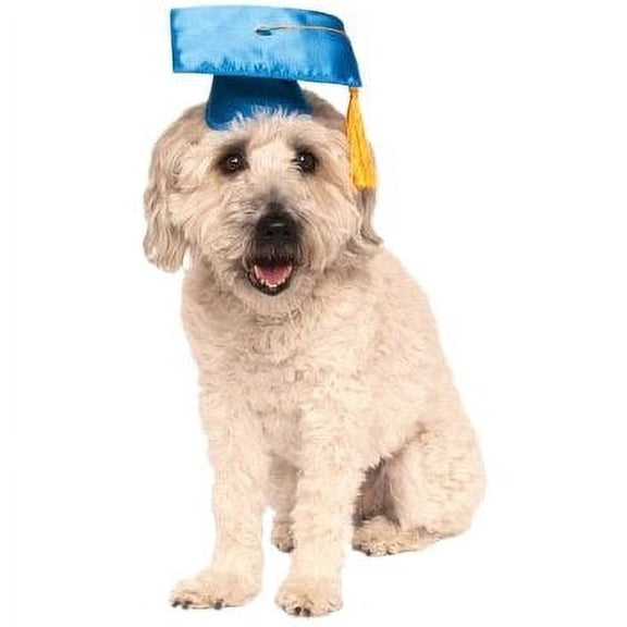 Rubie's Blue Graduation Hat for Pets