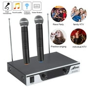 Radigs Professional Karaoke U-section High Frequency One For Two Handheld Mics Wireless Microphone System Party Music Concert