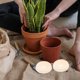 thumbnail image 1 of unbranded 10Ud Reutilizables De Plástico Para Plantas Con Redondo Para Uso En Hogar, 1 of 8