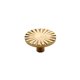 thumbnail image 1 of Lote mixto de 10 manijas de pétalos de gabinete de 30 mm manija pequeña de puerta de gabinete de lujo con luz nórdica [dorado] ANGGREK Otros, 1 of 8
