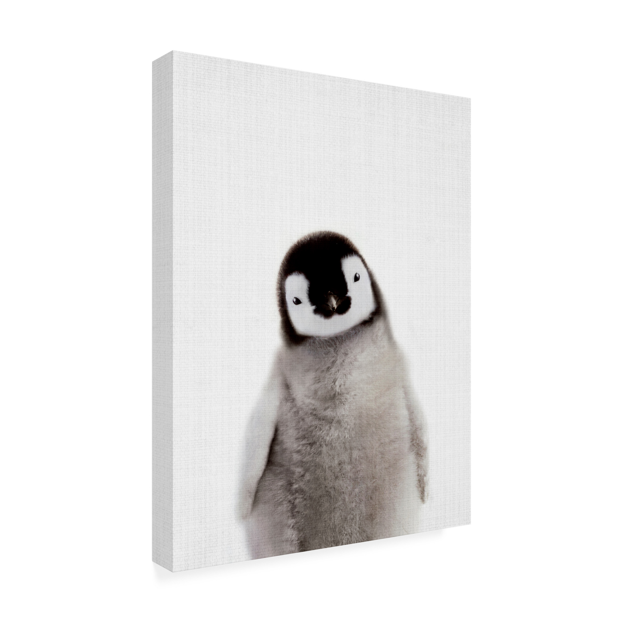 Lola Peacock 'Peekaboo Baby Penguin' Canvas Art