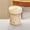 Beige, variant on PLJFXXM 1-Pack Overnight Oats Containers with Lids 14oz Glass Mason Jars Meal Prep Salad Food Cereal Snacks Pudding Yogurt Storage,Beige