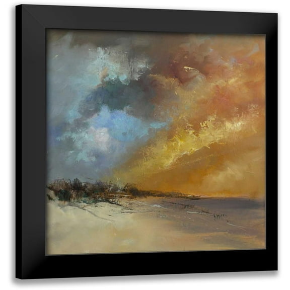 Doyle, Anne Farrall 12x12 Black Modern Framed Museum Art Print Titled - Sun Blaze