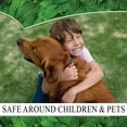 thumbnail image 2 of Puremint Roach Repellent,16 fl oz, 2 of 6