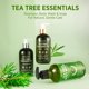 thumbnail image 5 of Champú Roycederm antimicótico de árbol de té para foliculitis, paquete de 2, 5 of 5