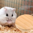 thumbnail image 1 of Small Pet Cage – Hamster , Parrot for & Squirrel, 1 of 3