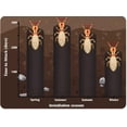 thumbnail image 4 of Kit de cebo y monitoreo de termitas para el hogar BASF con 10 estaciones, 4 of 5