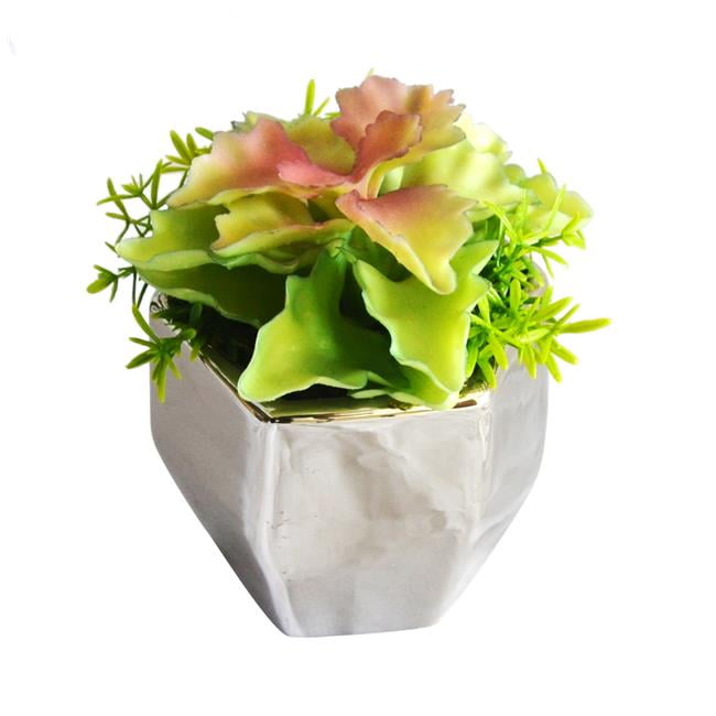 Jeco HD-BT179 4.72 in. PE Succulent Plant, Green