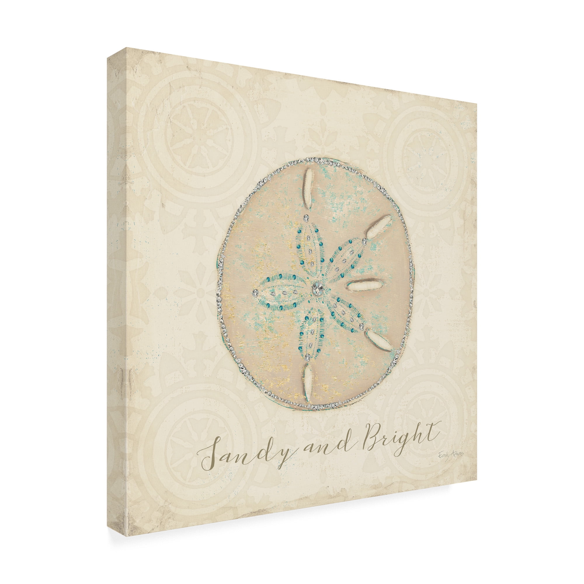 Trademark Fine Art 'Beach Treasures IV Christmas' Canvas Art by Emily Adams