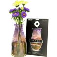 thumbnail image 3 of MODGY Vase à Fleurs Extensible Myvaz Collection The Masters, 3 of 5