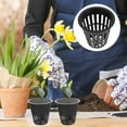 thumbnail image 4 of KONTONTY 12pcs Mesh Net Cup Kit Black Plastic for Soilless Cultivation Office Use, 4 of 8