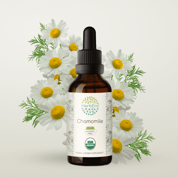 HerbEra Chamomile Tincture, Organic Herbal Dietary Supplement for Digestive Support, Certified Organic Chamomile (Matricaria recutita) Dried Flower Extract, Natural, Alcohol-Free, Drops 2 oz
