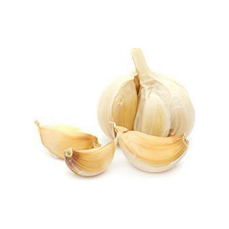 Culina garlic clearance press