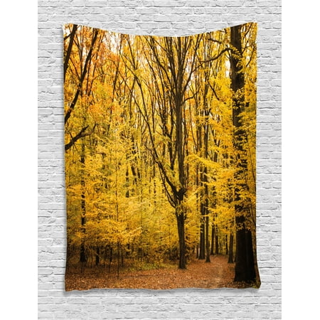 Fall Tapestry, Epic View Deep Down in the Forest with Shady Leaves Rural Habitat Ecology Scene, Wall Hanging for Bedroom Living Room Dorm Decor, Yellow Brown, by