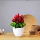 thumbnail image 5 of Flores artificiales, bonsáis artificiales en maceta, macetas de plástico para sala de estar, comedor, mesa de TV, mueble de centro, decoración, adornos, flores artificiales, bonsáis, plantas, 5 of 7