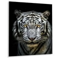 thumbnail image 2 of Designart "Formidable White Tiger II" Animals Tiger Metal Art Living Room, 2 of 5