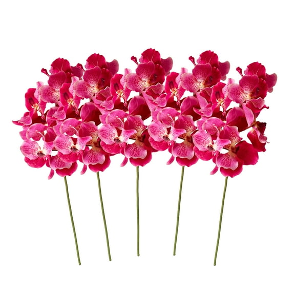 Amaranton 24" Real Touch Vanda Orchid - Fuchsia 5Pcs Artificial Flowers Bouquet for Gift Home Decor Indoor Outdoor Faux Orchid Flower Fake Floral Arrangements