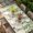 SpringGreen Beige, variant on Spring Botanical Table Cloths for 4 Foot Rectangle Tables, Watercolor Leaves Flowers Birds Beige Patio Waterproof Elastic Fitted Tablecloths, Washable Rectangular Table Cover for Camping