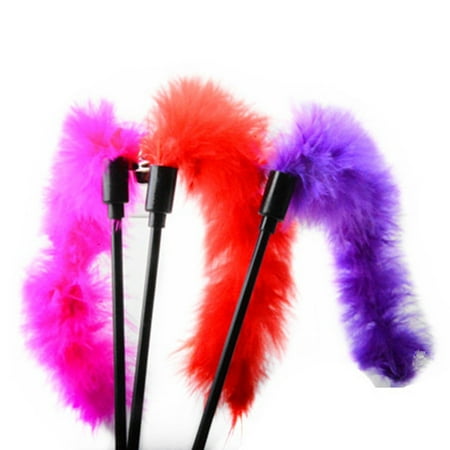 2 Pieces Plume Chat Teaser Mignon Couleur Unie Cloche Chat Teaser Jouet Chat Jouer Jouet Walmart Canada 2 Pieces Plume Chat Teaser Mignon Couleur Unie Cloche Chat Teaser Jouet Chat Jouer Jouet Walmart Canada