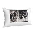 thumbnail image 2 of Fundas de almohada de The Goonies, fundas de almohada mullidas súper suaves y acogedoras con cremallera, 20 x 30 pulgadas, dormitorio, sofá, sillón, funda de almohada para todas las estaciones, 2 of 8