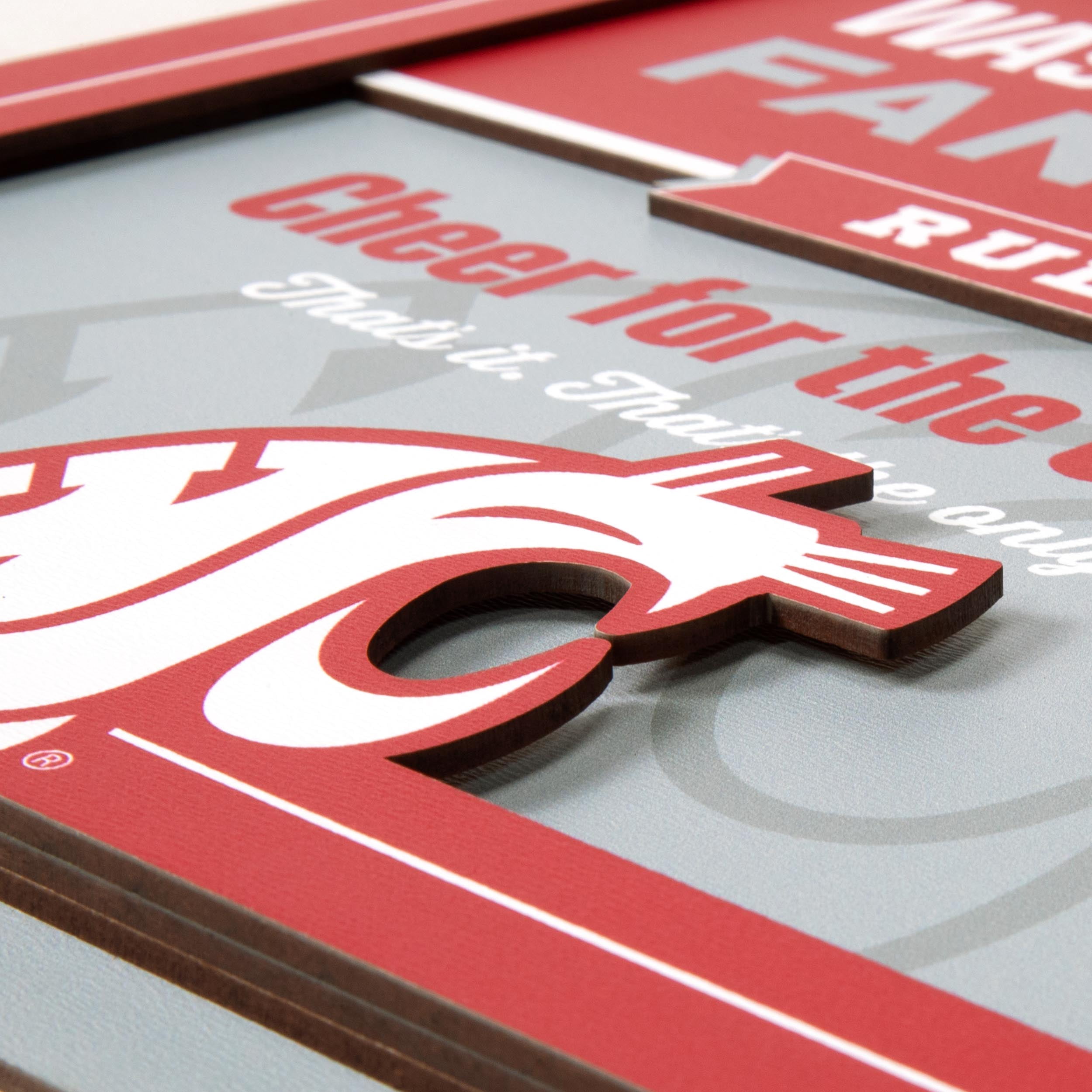 YouTheFan NCAA Washington State Cougars Fan Rules 3D Wall Art