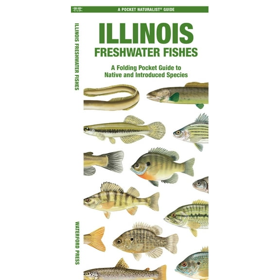 Nature Observation North America Illinois Freshwater Fishes, (Paperback)
