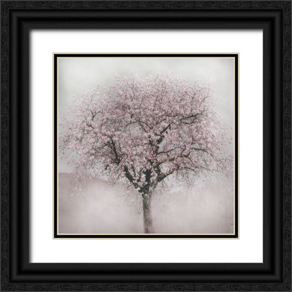 Weisz, Irene 12x12 Black Ornate Wood Framed with Double Matting Museum Art Print Titled - Blossoms of Spring IV