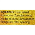 thumbnail image 2 of Zoo Med Can O' Superworms Extra Large Mealworms Food for Reptiles 1.75 ounces, 2 of 5