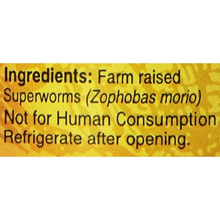 CAN O' SUPERWORMS EXTRA LARGE MEALWORMS CAN O' SUPERWORMS EXTRA LARGE MEALWORMS