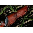 thumbnail image 6 of Deerslayer, 6 of 6