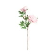 Simulated Flower Silk Flower 2 Bouquets Artificial Peonies Dark Pink