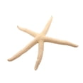 thumbnail image 3 of Bewildely Natural 5-12 cm/10-12 cm dedo blanco estrella de mar mar elegante hogar pelo boda decoración y proyecto artesanal blanco 10-12cm 2piezas, 3 of 6