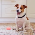 thumbnail image 3 of LEEYNEER Talking Pet Buttons Pink PP Communication  Home Use 1Set, 3 of 5