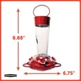 thumbnail image 3 of Pennington Glass Red Hummingbird Wild Bird Feeder, 10 oz. Capacity, 2 Pack, 3 of 12